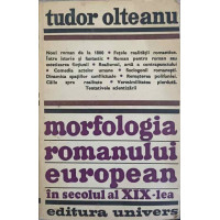 MORFOLOGIA ROMANULUI EUROPEAN IN SECOLUL AL XIX-LEA MORFOLOGIA ROMANULUI EUROPEAN IN SECOLUL AL XIX-LEA