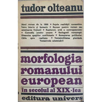 MORFOLOGIA ROMANULUI EUROPEAN IN SECOLUL AL XIX-LEA