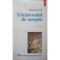 TELEJURNALUL DE NOAPTE TELEJURNALUL DE NOAPTE
