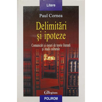 DELIMITARI SI IPOTEZE. COMUNICARI SI ESEURI DE TEORIE LITERARA SI STUDII CULTURALE