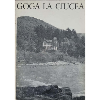 GOGA LA CIUCEA