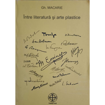 INTRE LITERATURA SI ARTE PLASTICE