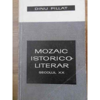 MOZAIC ISTORICO-LITERAR SECOLUL XX