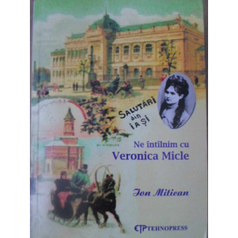 NE INTALNIM CU VERONICA MICLE