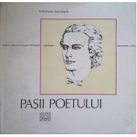 PASII POETULUI PASII POETULUI