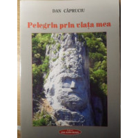 PELEGRIN PRIN VIATA MEA PELEGRIN PRIN VIATA MEA