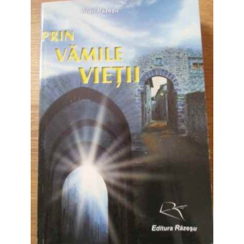 PRIN VAMILE VIETII