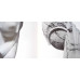 ROMANUL BRANCUSI