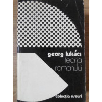 TEORIA ROMANULUI TEORIA ROMANULUI