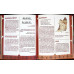 DICTIONARUL INDIENILOR