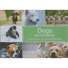 DOGS NOTECARDS. A COLLECTION OF 24 EVOCATIVE POSTCARDS