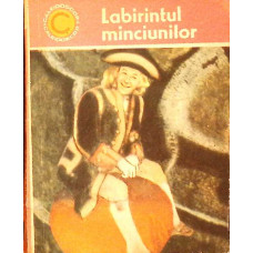 LABIRINTUL MINCIUNILOR