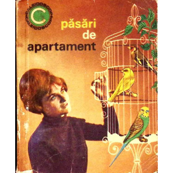 PASARI DE APARTAMENT