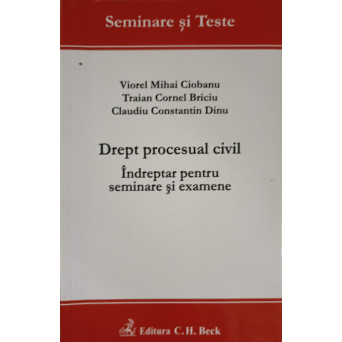 DREPT PROCESUAL CIVIL. INDREPTAR PENTRU SEMINARE SI EXAMENE