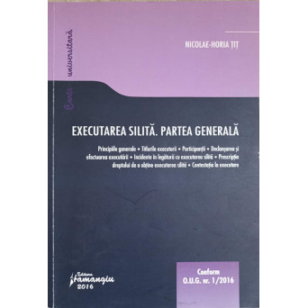 EXECUTAREA SILITA. PARTEA GENERALA