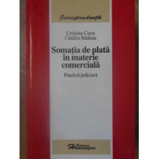SOMATIA DE PLATA IN MATERIE COMERCIALA. PRACTICA JUDICIARA