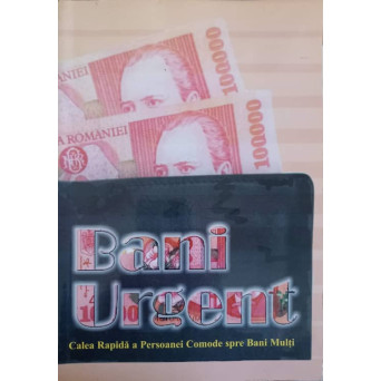 BANI URGENT. CALEA RAPIDA A PERSOANEI COMODE SPRE BANI MULTI