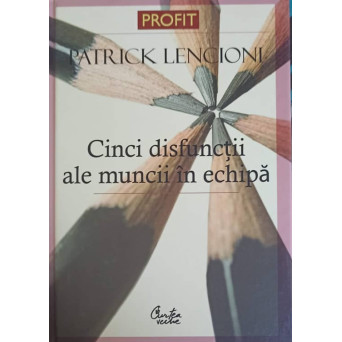CINCI DISFUNCTII ALE MUNCII IN ECHIPA