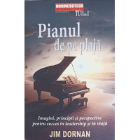 PIANUL DE PE PLAJA. IMAGINI, PRINCIPII SI PERSPECTIVE ASUPRA SUCCESULUI CA LIDER SI IN VIATA PIANUL DE PE PLAJA. IMAGINI, PRINCIPII SI PERSPECTIVE ASUPRA SUCCESULUI CA LIDER SI IN VIATA