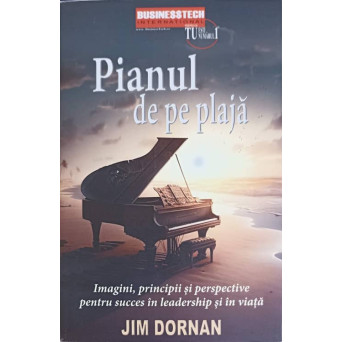 PIANUL DE PE PLAJA. IMAGINI, PRINCIPII SI PERSPECTIVE ASUPRA SUCCESULUI CA LIDER SI IN VIATA