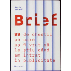 BRIEF: 99 DE CHESTII PE CARE AS FI VRUT SA STIU CAND AM INTRAT IN PUBLICITATE