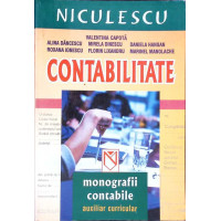 CONTABILITATE. MONOGRAFIE CONTABILE. AUXILIAR CONTABILITATE. MONOGRAFIE CONTABILE. AUXILIAR