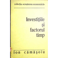 INVESTITIILE SI FACTORUL TIMP
