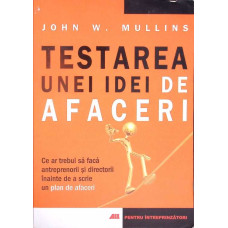 TESTAREA UNEI IDEI DE AFACERI