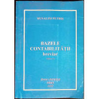 BAZELE CONTABILITATII, BREVIAR