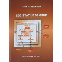 SOCIETATILE DE GRUP SOCIETATILE DE GRUP