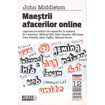 MAESTRII AFACERILOR ONLINE