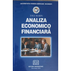 ANALIZA ECONOMICO FINANCIARA