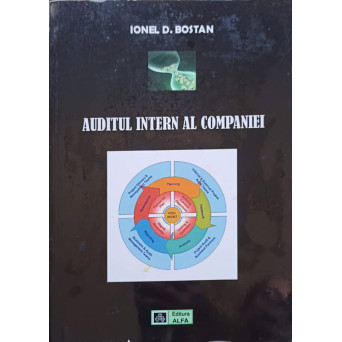 AUDITUL INTERN AL COMPANIEI