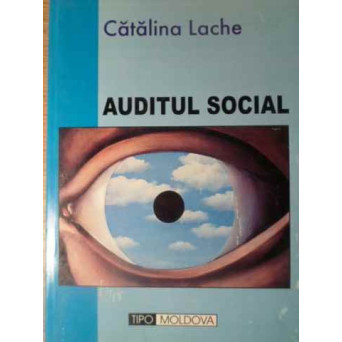 AUDITUL SOCIAL