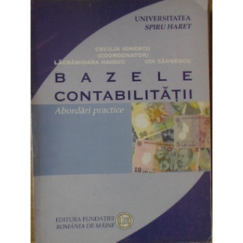BAZELE CONTABILITATII. ABORDARI PRACTICE