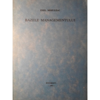 BAZELE MANAGEMENTULUI