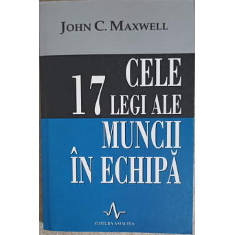 CELE 17 LEGI ALE MUNCII IN ECHIPA. CUM SA CONSTRUIESTI O ECHIPA PUTERNICA