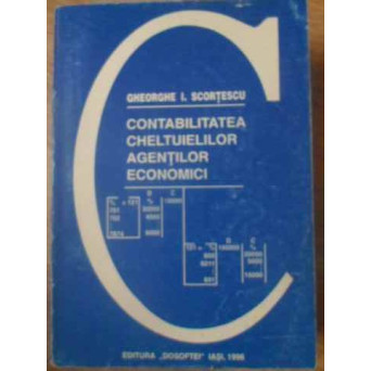 CONTABILITATEA CHELTUIELILOR AGENTILOR ECONOMICI