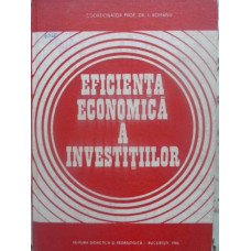 EFICIENTA ECONOMICA A INVESTITIILOR