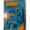 GHIDUL INTREPRINZATORULUI PARTICULAR