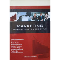 MARKETING. PRINCIPII, PRACTICI, ORIZONTURI MARKETING. PRINCIPII, PRACTICI, ORIZONTURI