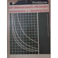 PROBLEME ALE DETERMINARII EFICIENTEI ECONOMICE A INVESTITIILOR