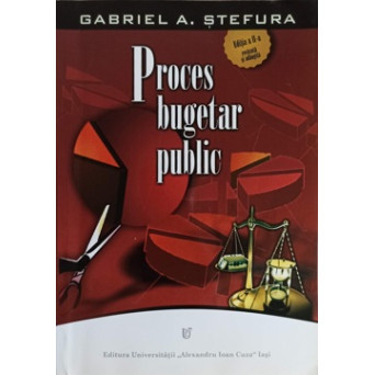 PROCES BUGETAR PUBLIC