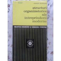 STRUCTURI ORGANIZATORICE ALE INTREPRINDERII MODERNE STRUCTURI ORGANIZATORICE ALE INTREPRINDERII MODERNE