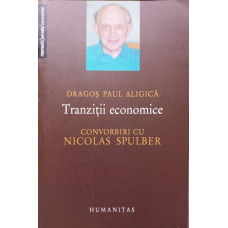 TRANZITII ECONOMICE CONVORBIRI CU NICOLAS SPULBER