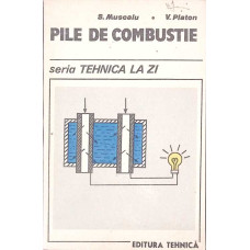 PILE DE COMBUSTIE