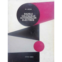 BAZELE CALCULULUI ACTIONARILOR ELECTRICE BAZELE CALCULULUI ACTIONARILOR ELECTRICE
