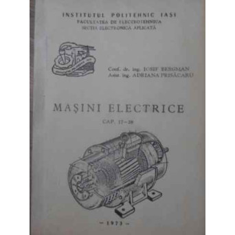 MASINI ELECTRICE