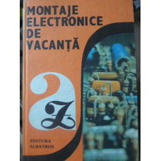 MONTAJE ELECTRONICE DE VACANTA
