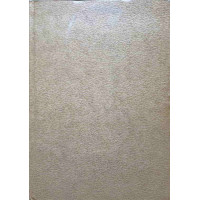 CLASOR TIMBRE GOL, 10 FILE, 17X24 CM CLASOR TIMBRE GOL, 10 FILE, 17X24 CM